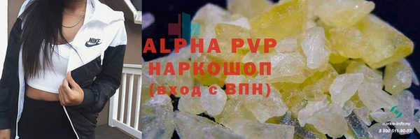 ПСИЛОЦИБИНОВЫЕ ГРИБЫ Арсеньев