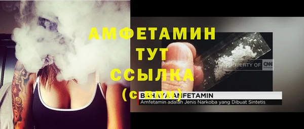 ПСИЛОЦИБИНОВЫЕ ГРИБЫ Арсеньев