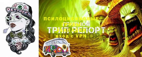ПСИЛОЦИБИНОВЫЕ ГРИБЫ Арсеньев