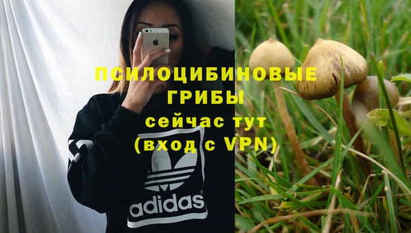 ПСИЛОЦИБИНОВЫЕ ГРИБЫ Арсеньев