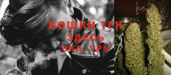 ПСИЛОЦИБИНОВЫЕ ГРИБЫ Арсеньев