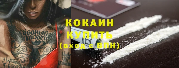 ПСИЛОЦИБИНОВЫЕ ГРИБЫ Арсеньев