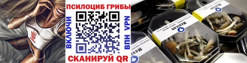 Галлюциногенные грибы Cubensis Удачный